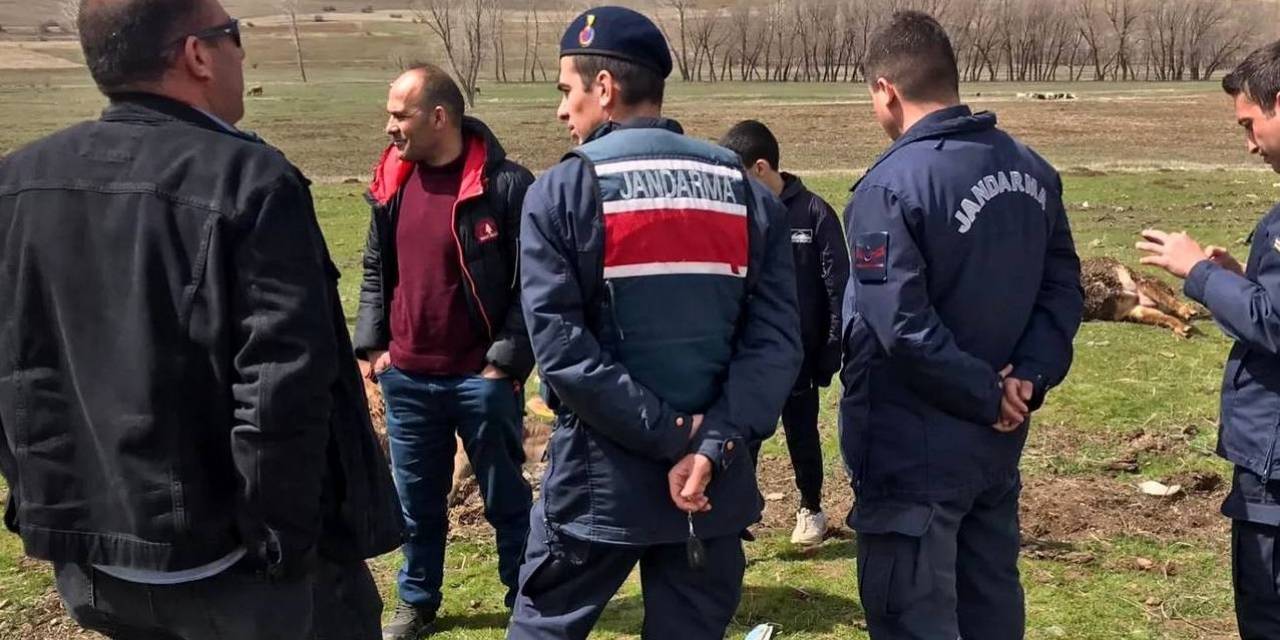 Aras Elektrik Dağıtım Şirketinin İhmali Üzerine Elektrik Akımına Kapılan 3 Büyükbaş Hayvan Telef Oldu