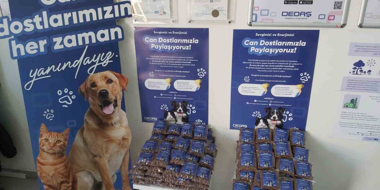 4 Nisan Dünya Sokak Hayvanları Günü Dolayısıyla Farkındalık Oluşturan Çalışmalar Yapıldı
