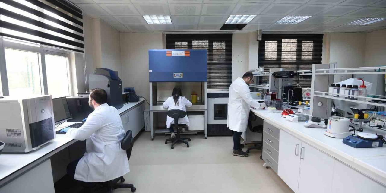 Araştırma İmkanı Sunuyor