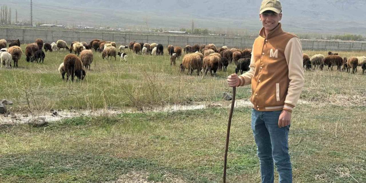 Iğdır’da Hayvanlar Meraya Çıktı