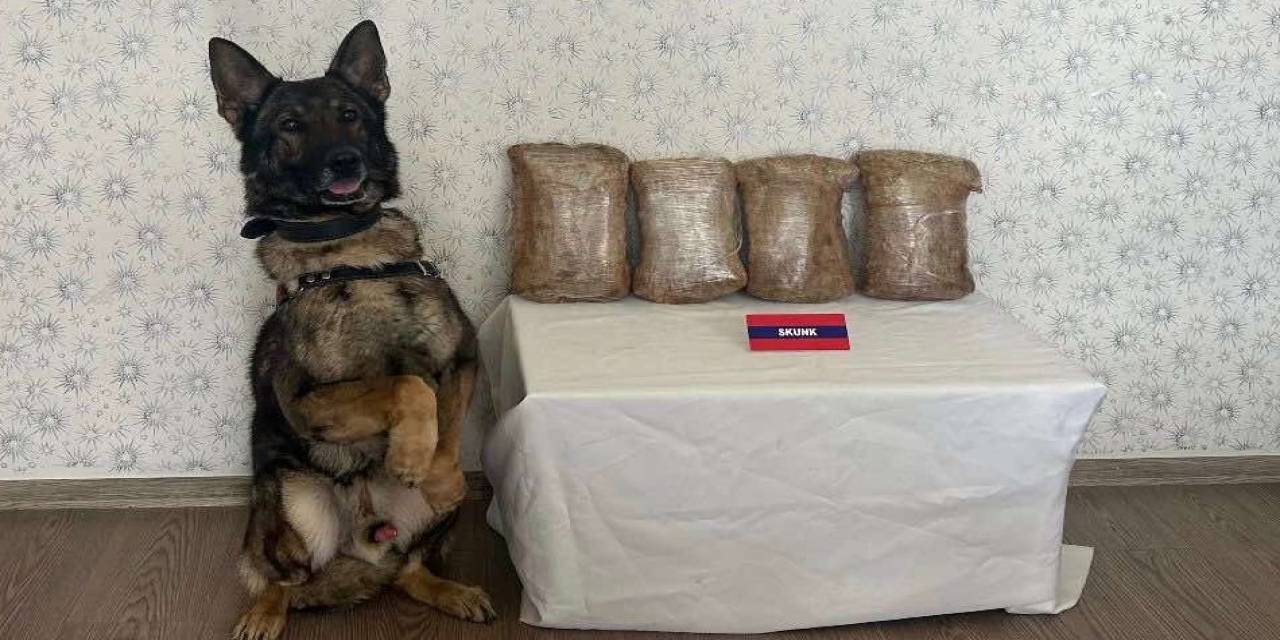 Uyuşturucu Taciri Otobüste Yakalandı