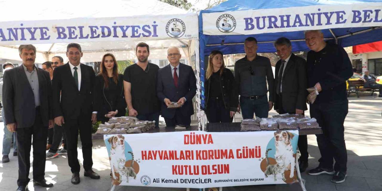 Başkan Deveciler Dünya Sokak Hayvanları Gününü Hayvan Severler İle Kutladı