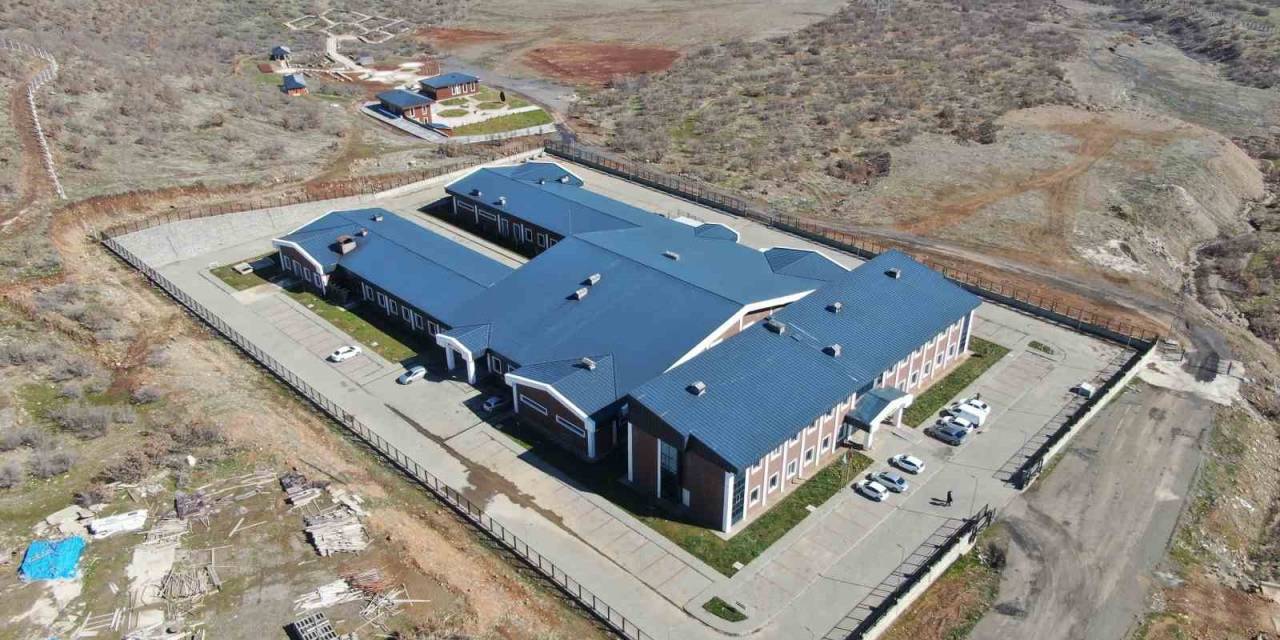 Bingöl Üniversitesi Rektörü Prof. Dr. Çapak: "hayvan Hastanesi, Herhangi Bir Afet Durumunda İnsanlara Hizmet Verebilir’’