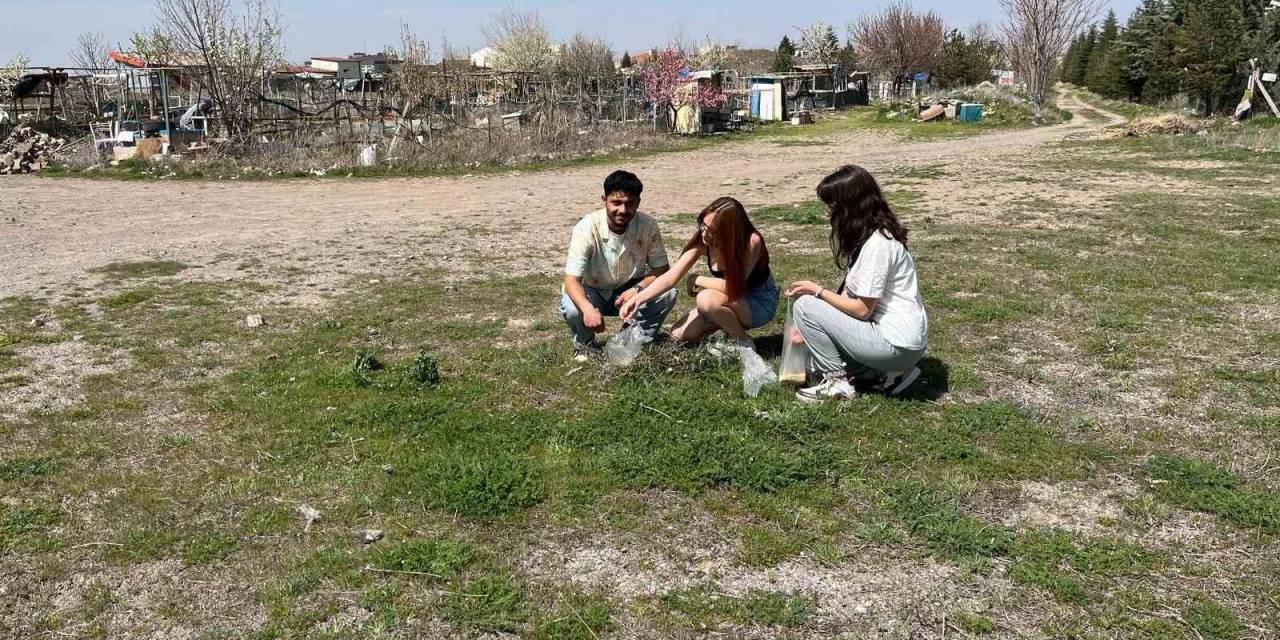 Erü’de Kampüsün Simgesi ‘Gelengiler’ Uyandı