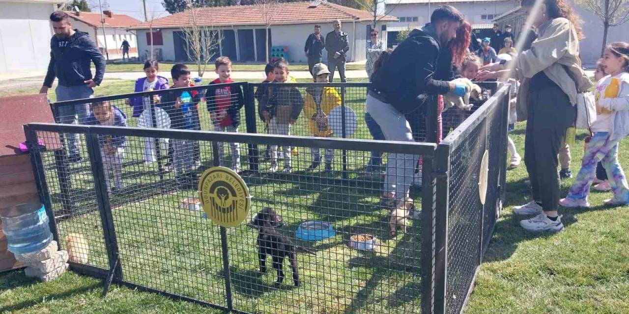 Miniklerden Sahipsiz Sokak Hayvanları Bakım Ve Rehabilitasyon Merkezi’ne Ziyaret