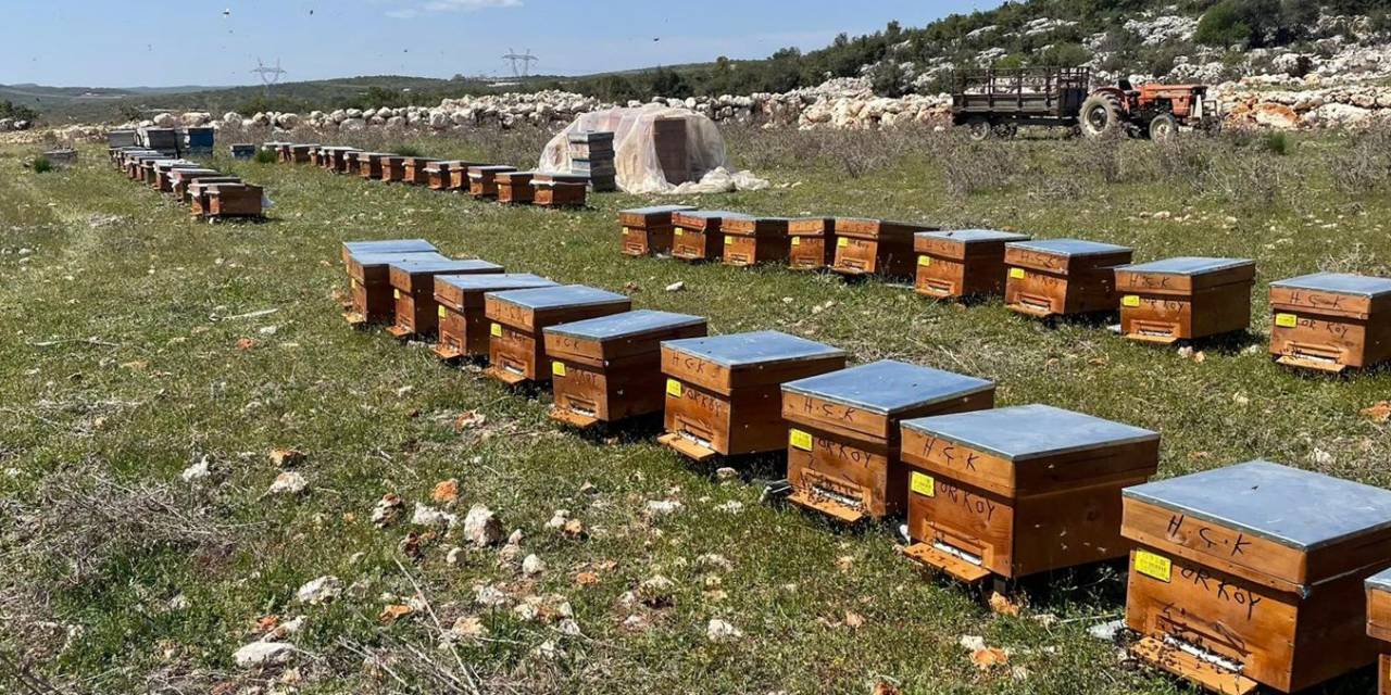 Mersin’de Arıcılara 4 Milyon 200 Bin Tl Destek Sağlandı
