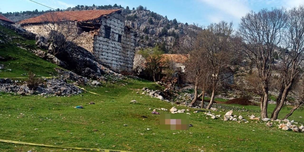 Mezarlık Ziyaretine Giden Yaşlı Kadına Çoban Köpekleri Saldırdı