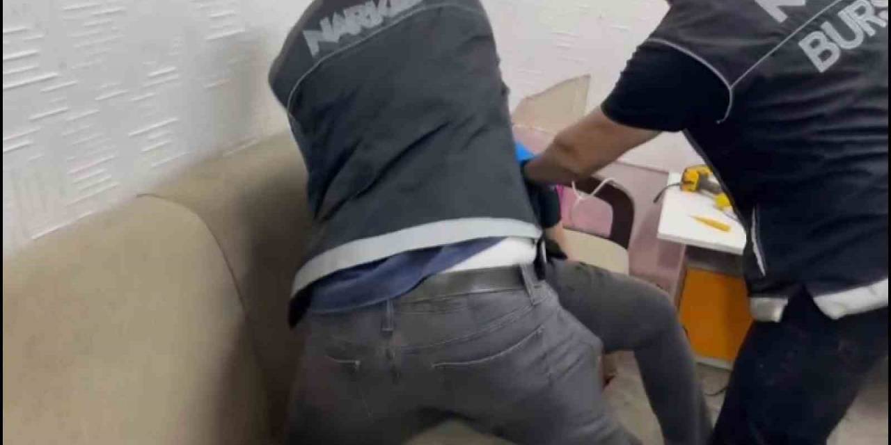 Bursa’da 75 Kök Hint Keneviri Ele Geçirildi