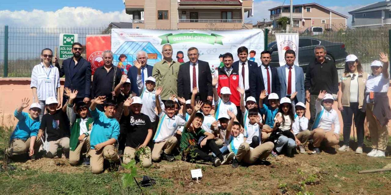 Yalova’da Öğrenciler Okul Bahçesine Meyve Ağacı Fidanı Dikti