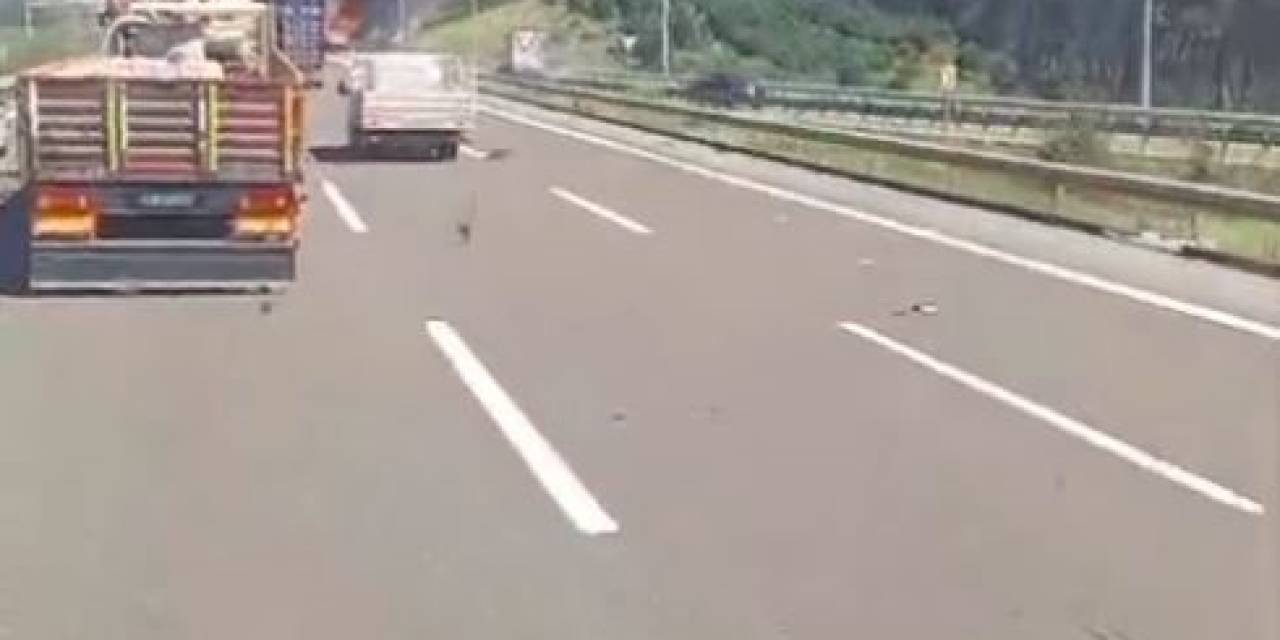 Tır’ın Dorsesi Seyir Halinde Alevlere Teslim Oldu