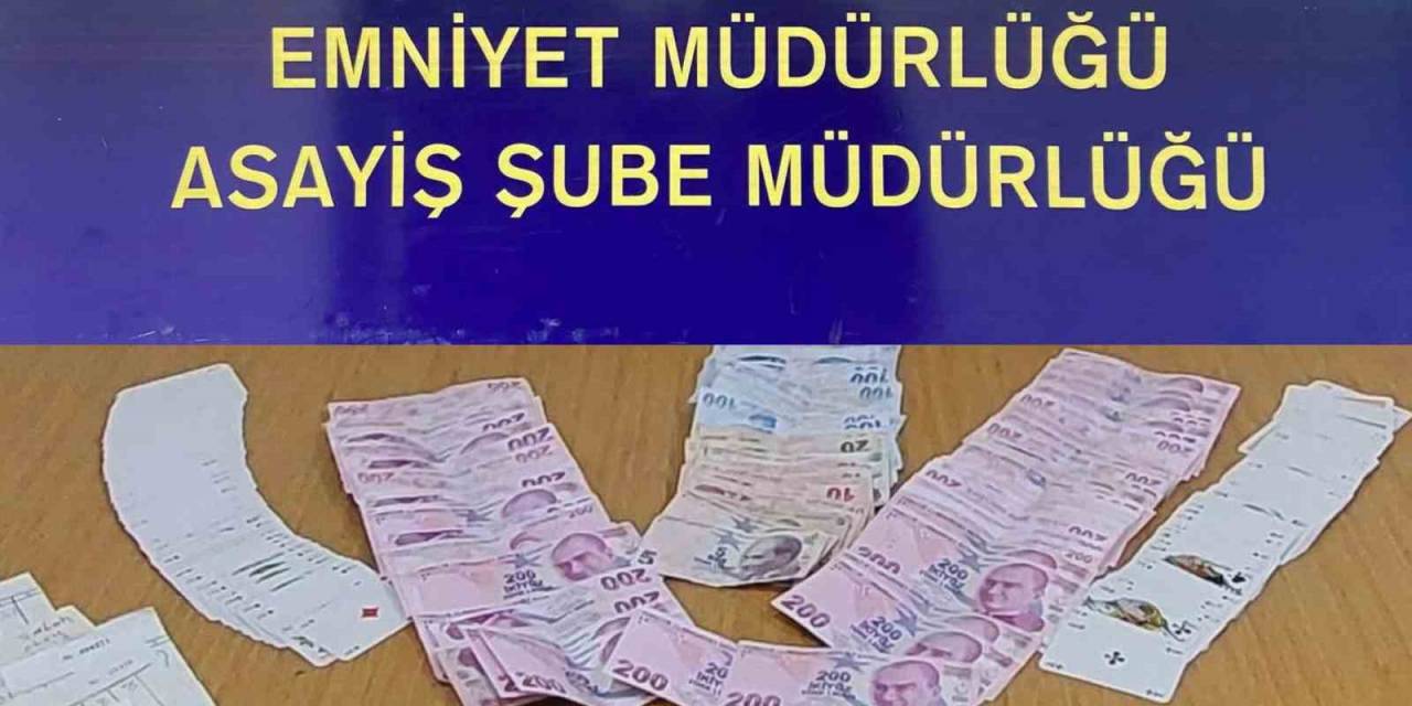 Sinop’ta Kumar Operasyonu