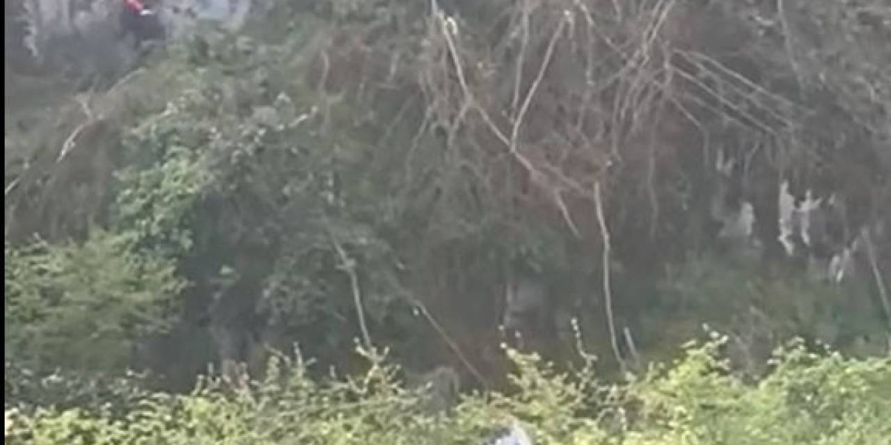 Ağaç Keserken Uçuruma Yuvarlandı