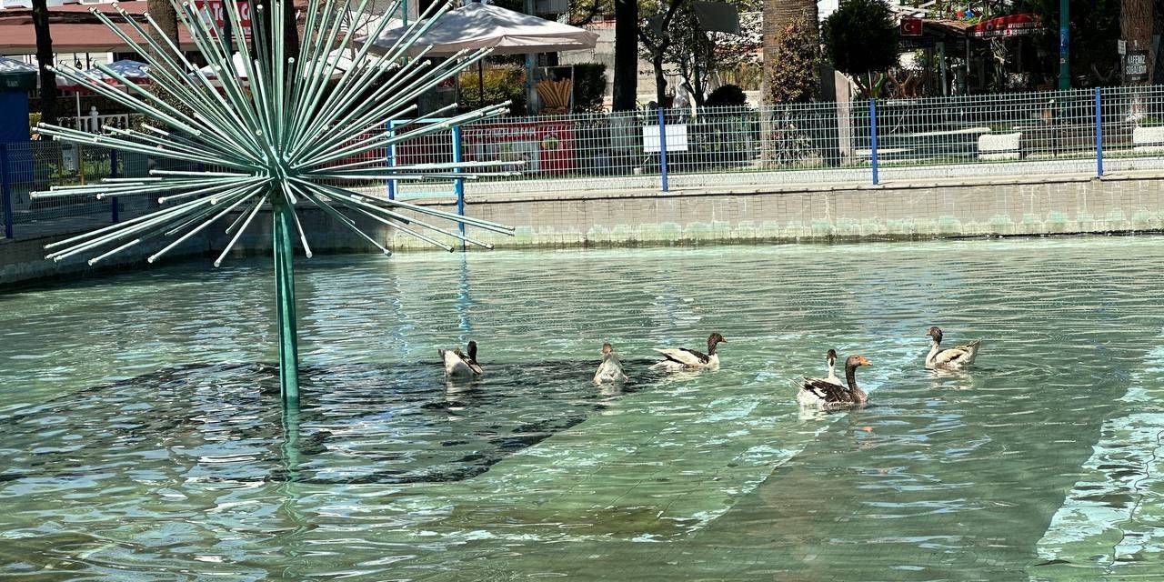 Edremit’in Ördekli Parkı Geri Geldi
