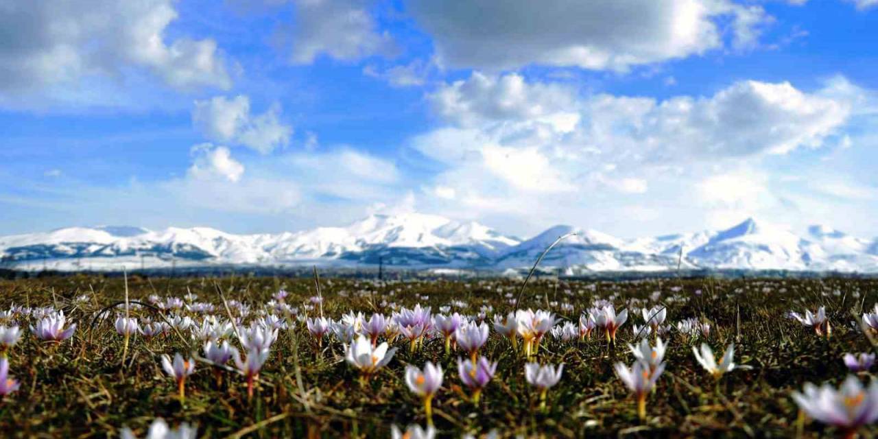 Baharın Müjdecisi Kar Çiçekler Açtı