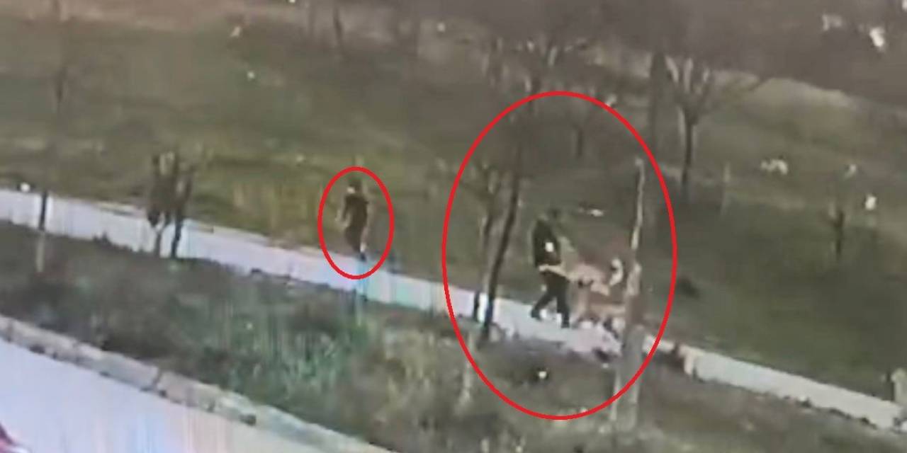 Bursa’da Başıboş Köpek Dehşeti Kamerada...oğlu İçin Kendini Feda Etti Ölümden Döndü