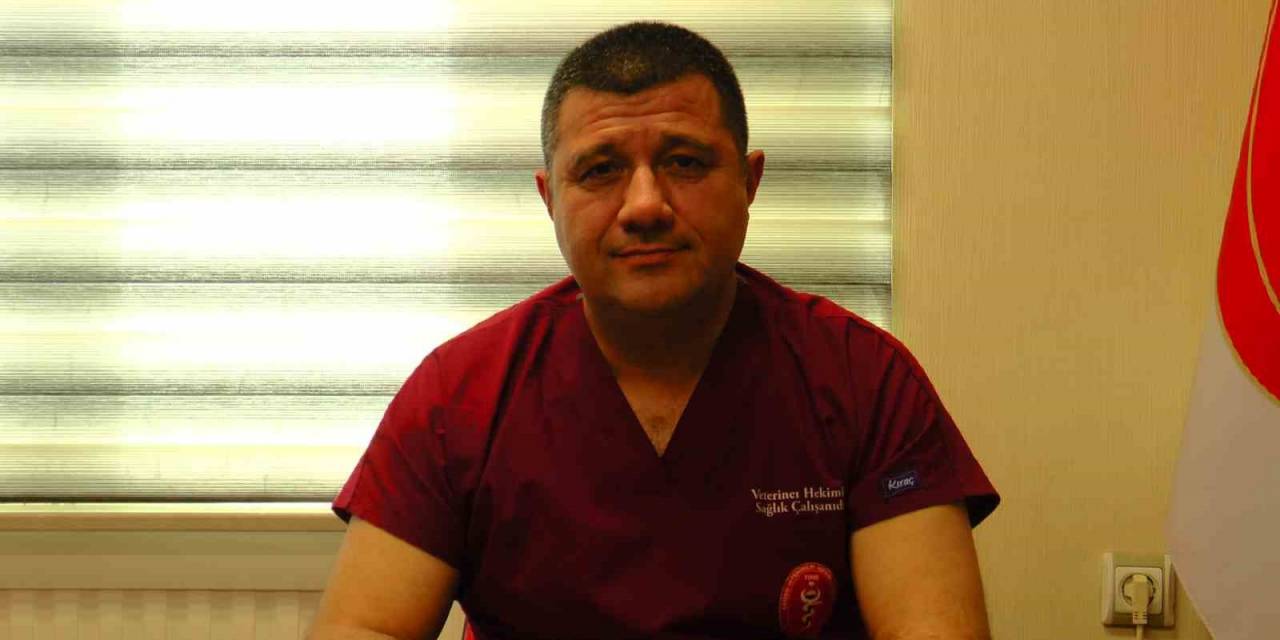 Veteriner Hekimlerden ‘Veteriner’ Tepkisi