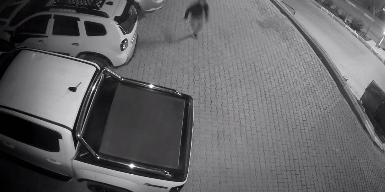 Şırnak’ta Şüpheli İle Polis Arasındaki Kovalamaca Güvenlik Kamerasına Yansıdı