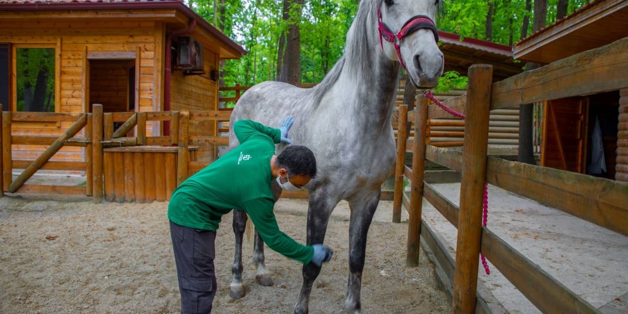 Avrupa’nın En Büyük Doğal Yaşam Parkı Bayramda Doğaseverler İçin Hazırlandı