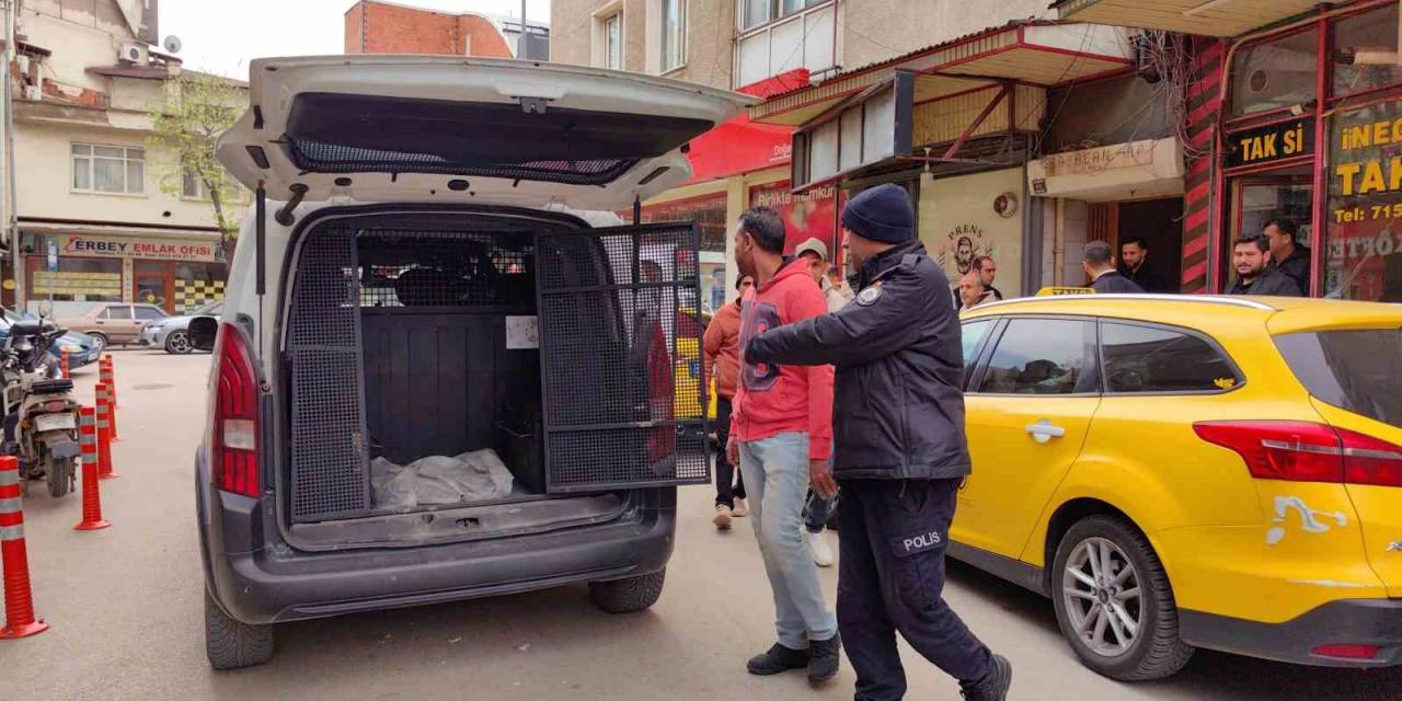 10 Kaçak Göçmene Dudak Uçuklatan Fiyata Evi Kiraladı, Gürültü Yapınca Yakalandılar