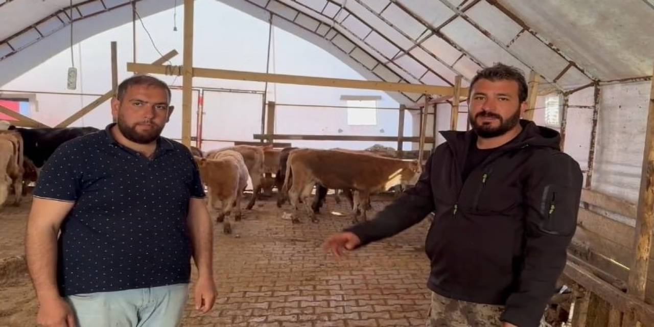 Hayvanları Yangında Telef Oldu, El Ele Veren Vatandaşlar 14 Büyükbaş Hediye Etti