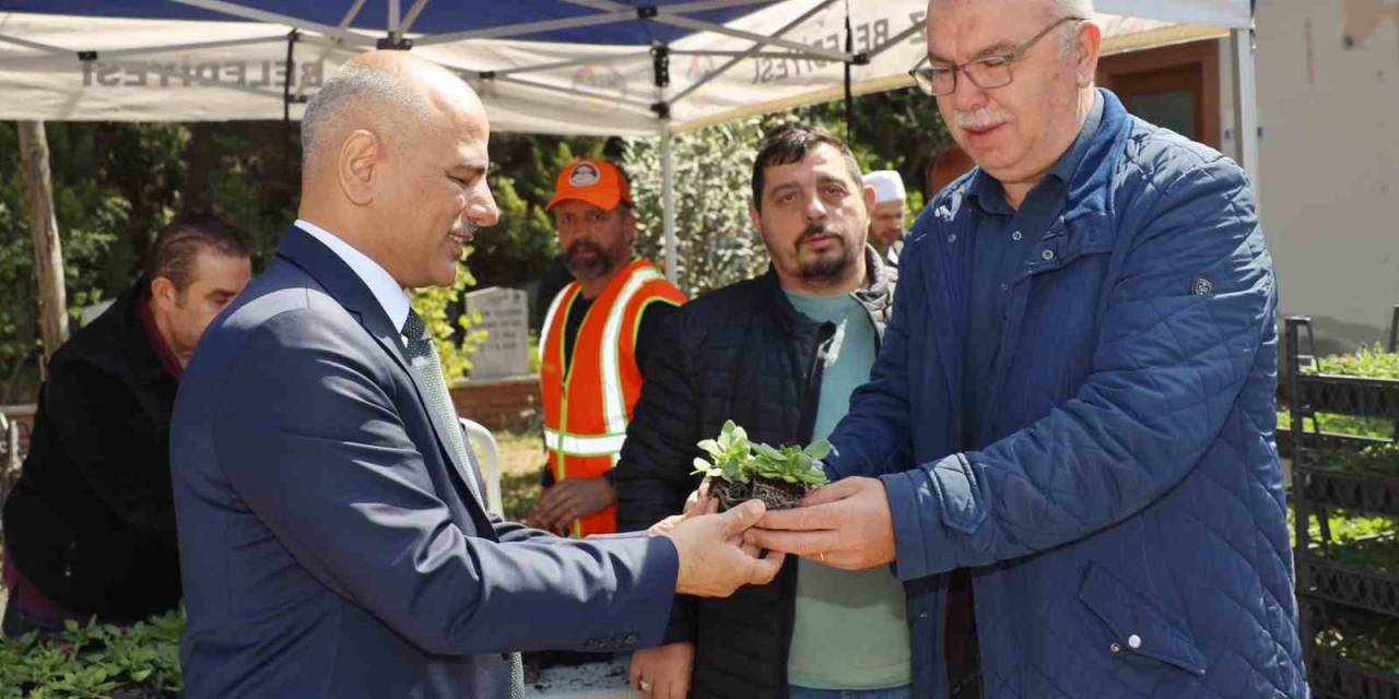 Körfez’de Mezarlıklarda Çiçek Dağıtıldı