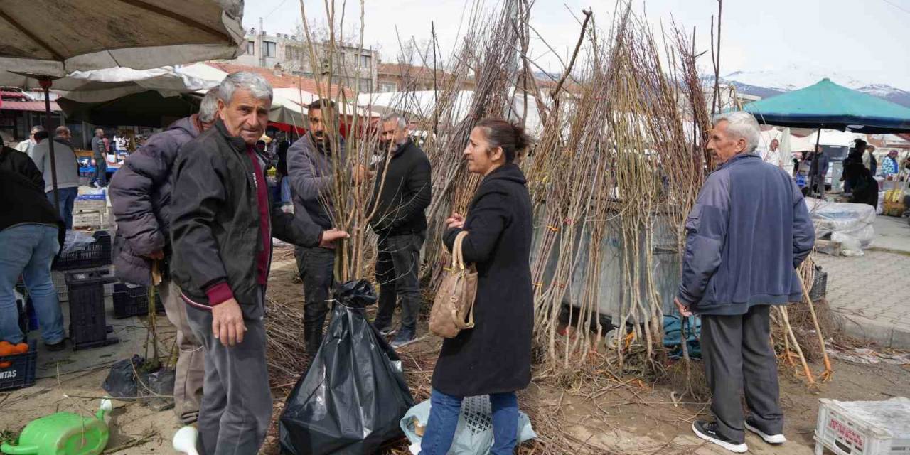Erzincan’da Meyve Fidanı Satışı Başladı