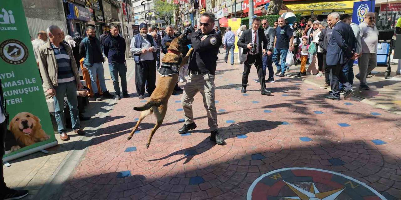 Polis Haftasında Narkotik Köpeği Vatandaşın İlgi Odağı Oldu