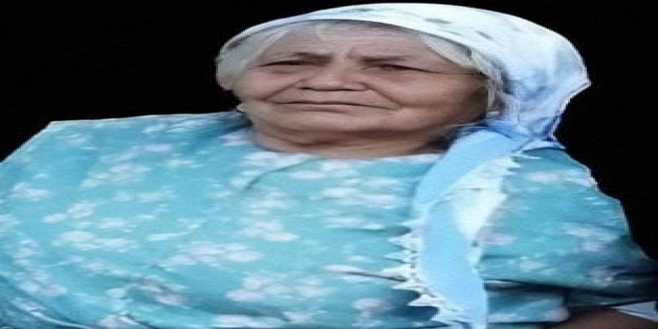 Hayvanlarına Bakarken Düşen 74 Yaşındaki Kadın Hayatını Kaybetti