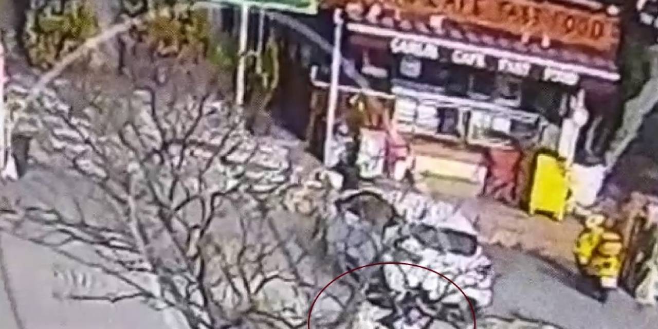 Beylikdüzü’nde Pitbull Cinsi Köpeğin Saldırısında Dehşet Anları Kameraya Yansıdı