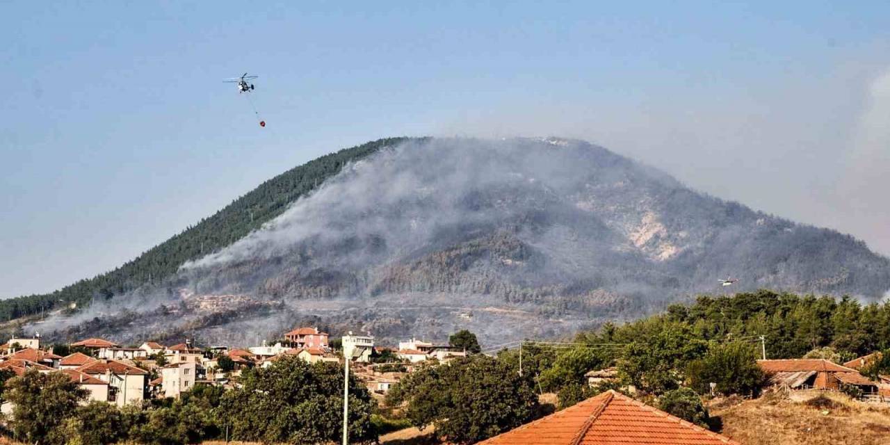 3 Gün Boyunca Yandı, Yeniden Orman Olması 30 Yıl Sürecek