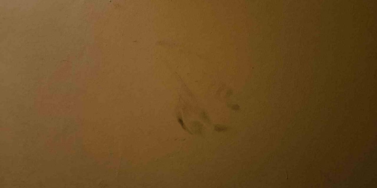 Beşiktaş’ta 29 Kişinin Hayatını Kaybettiği Yangının İzleri Bina İçinden Görüntülendi