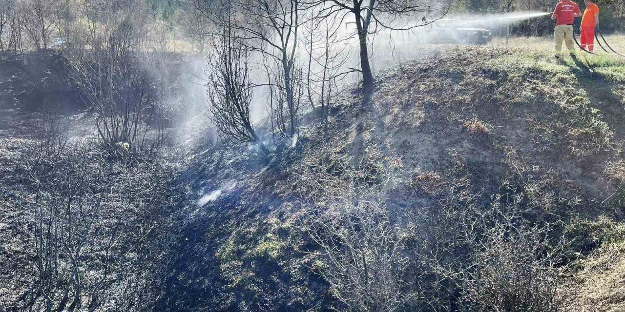 Hisarcık’ta Ot Yangını Korkuttu