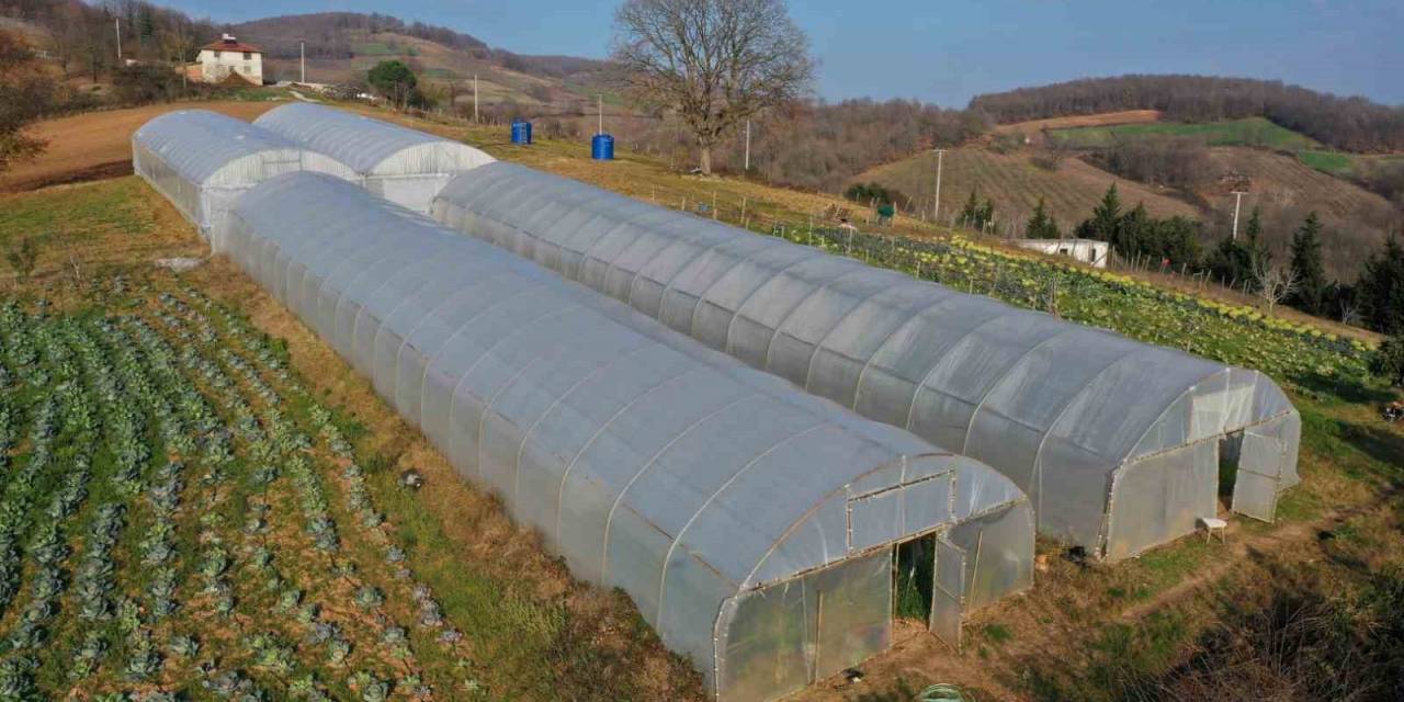 Çiftçilere Yüzde 50 Hibeli Modern Sera Desteği
