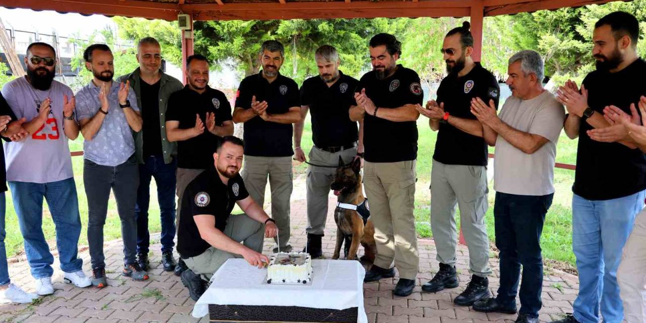 Narkotik Köpeği Hulk’un 7’nci Yaş Günü Pasta Kesilerek Kutlandı
