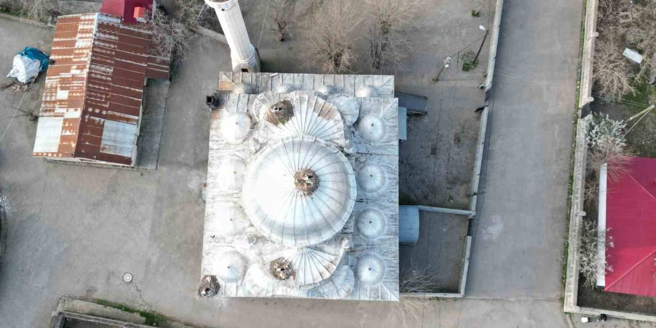 Leylekler 10 Yıldır Aynı Camide Yuvalarını Kuruyor