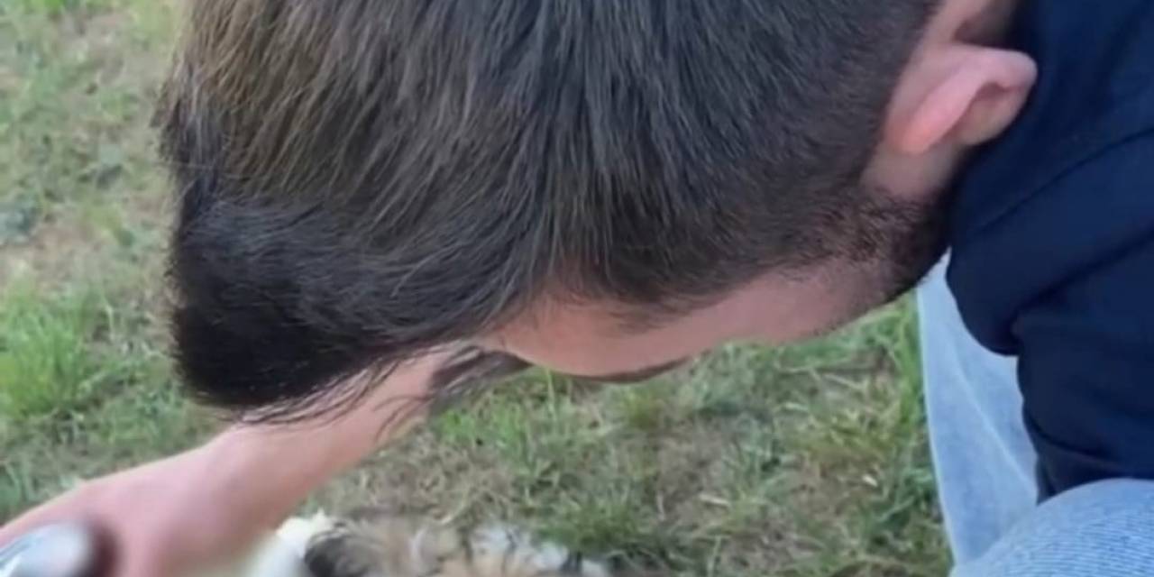 Bu Kadarına Da Pes: Köpeğe Alkol İçirerek O Anları Sosyal Medya Hesabından Paylaştı