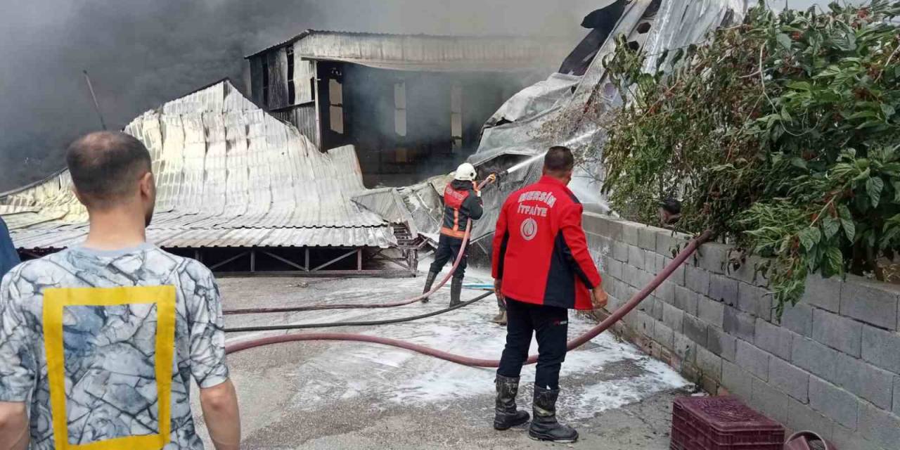 Mersin’de Narenciye Paketleme Tesisinde Yangın