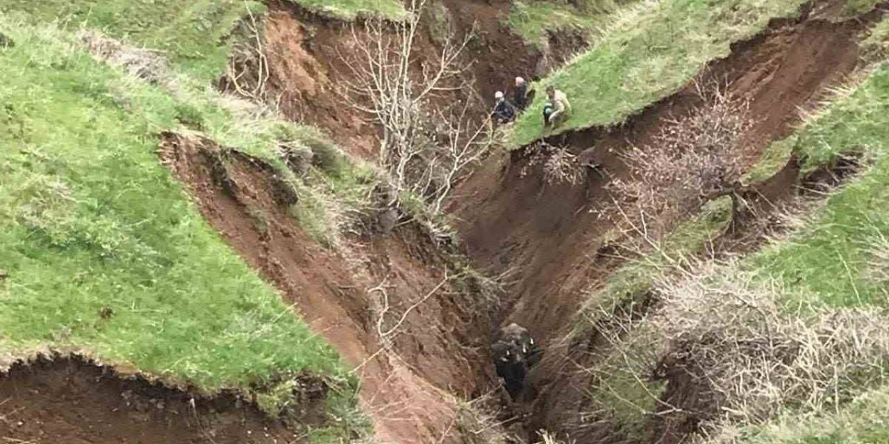Güroymak’ta Toprak Kayması: Hayvanlar Vadiye Düştü