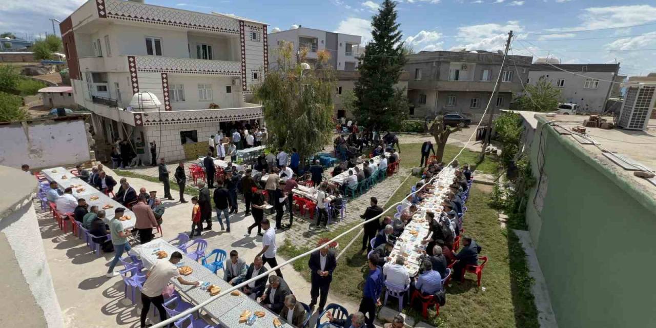 Silopi’de Muhtardan Köylülere 500 Kişilik Teşekkür Yemeği