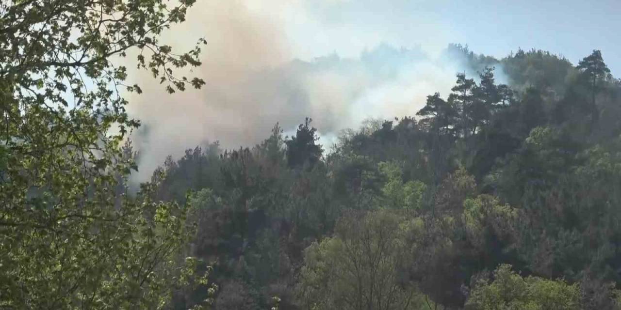 Bursa’da Ormanlık Alanda Çıkan Yangın Kontrol Altına Alındı