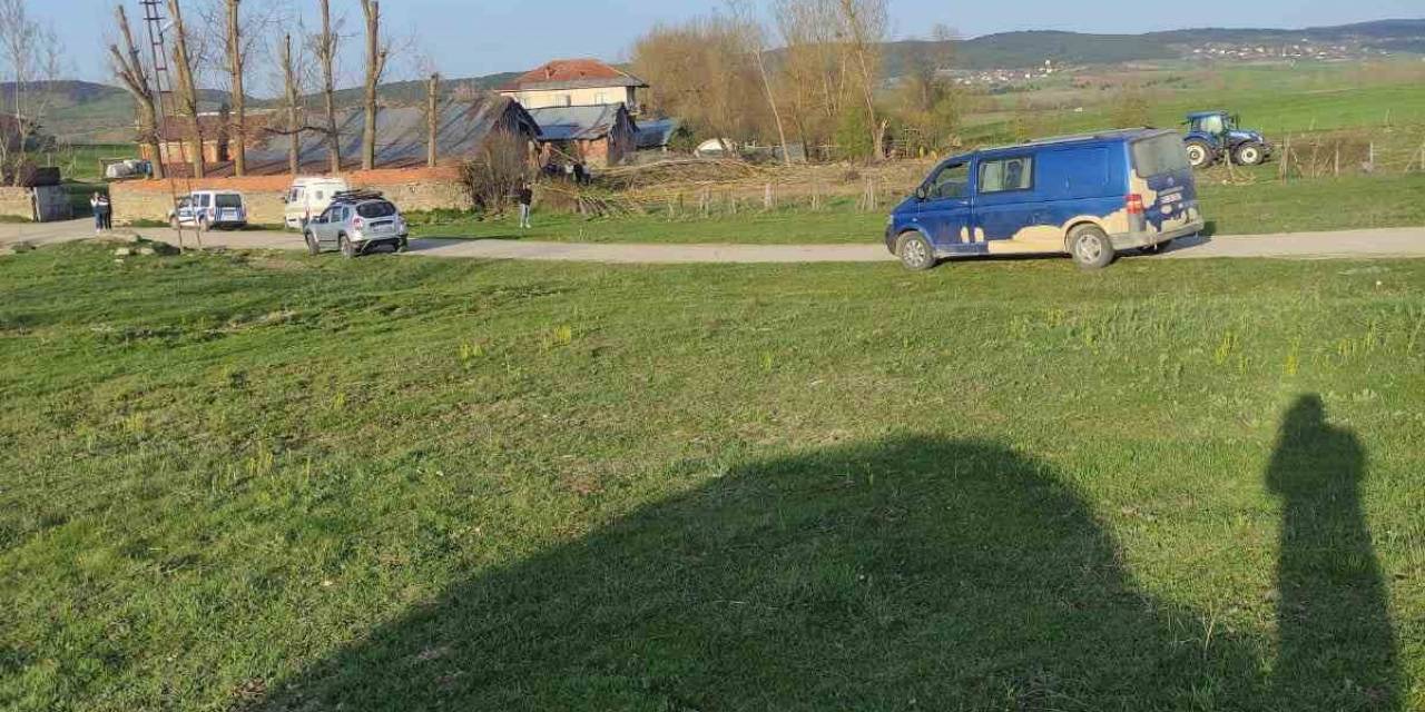 Kestiği Ağacın Altında Kalan Şahıs Öldü