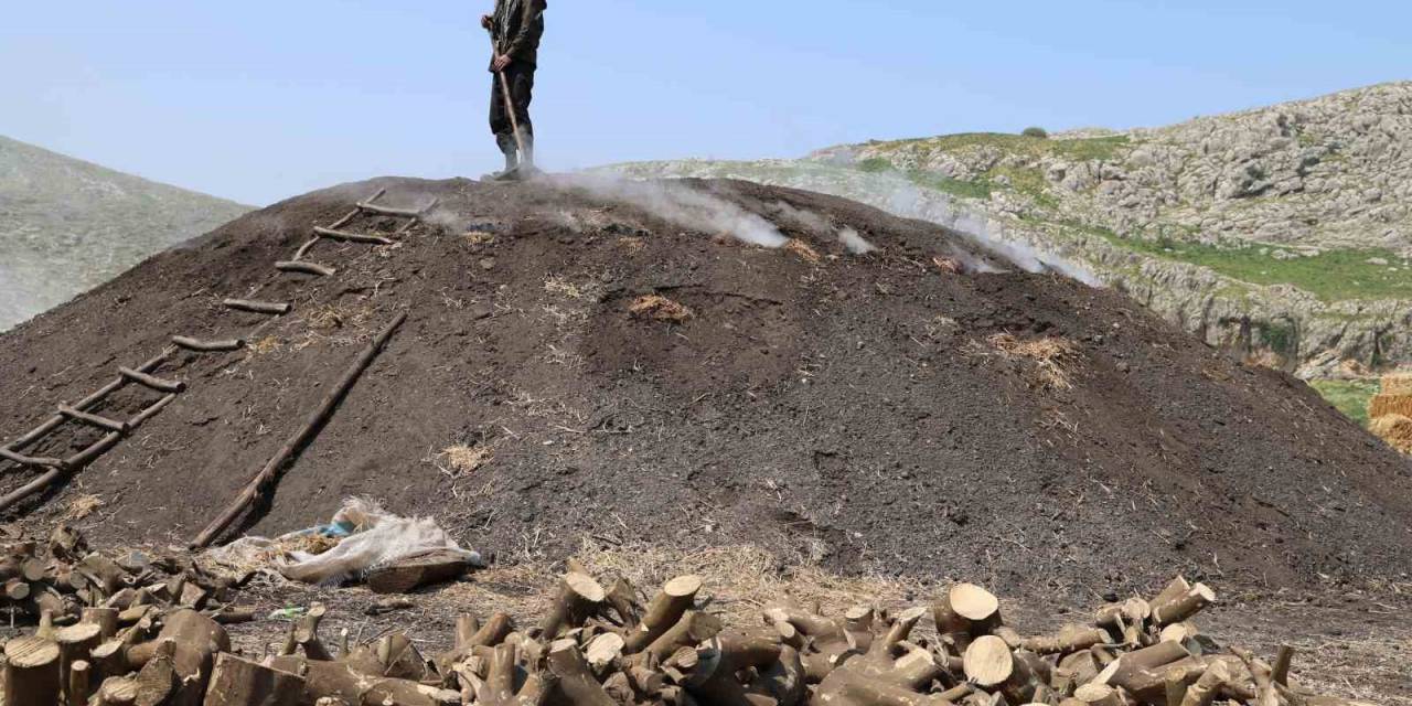 Çukurova Sıcağında Narenciye Odunları Mangal Kömürüne Dönüşüyor