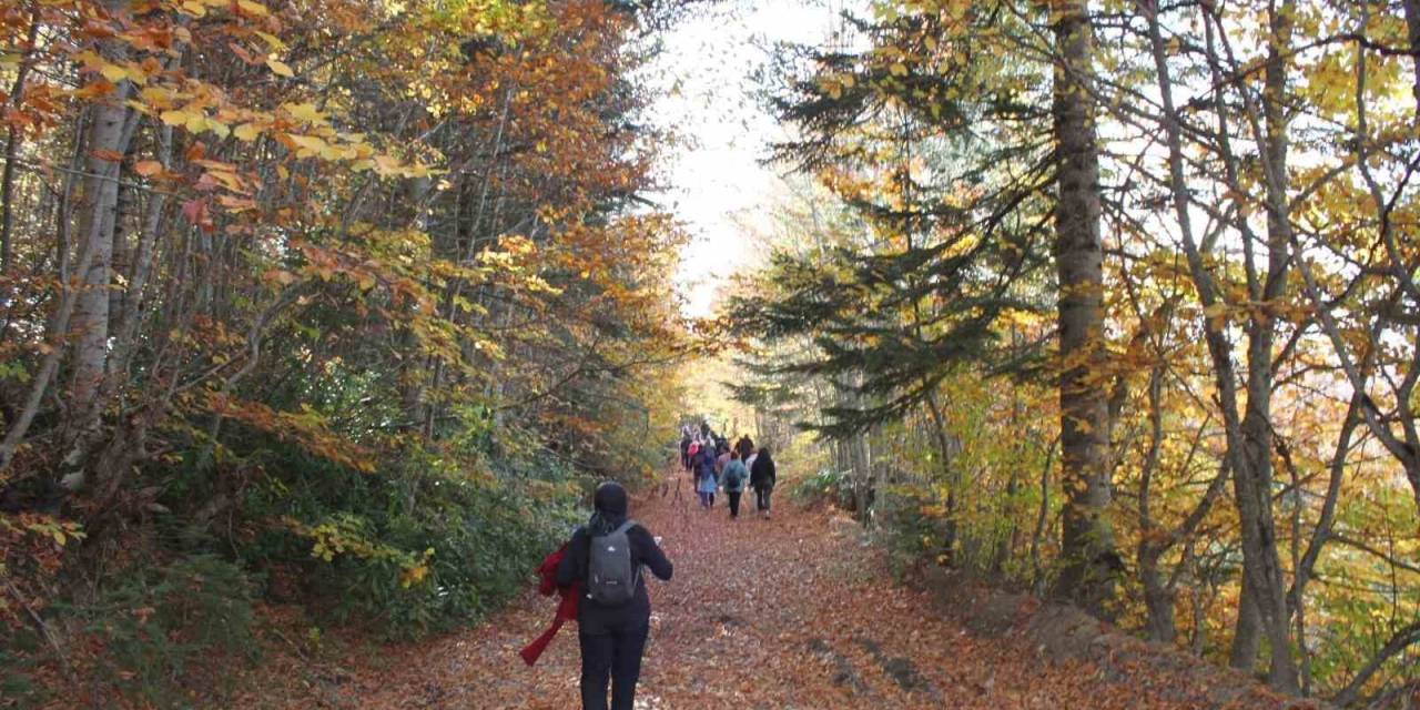Milli Parklar Ve Tabiat Parklarını Ramazan Bayramı’nda 3 Milyona Yakın Kişi Ziyaret Etti