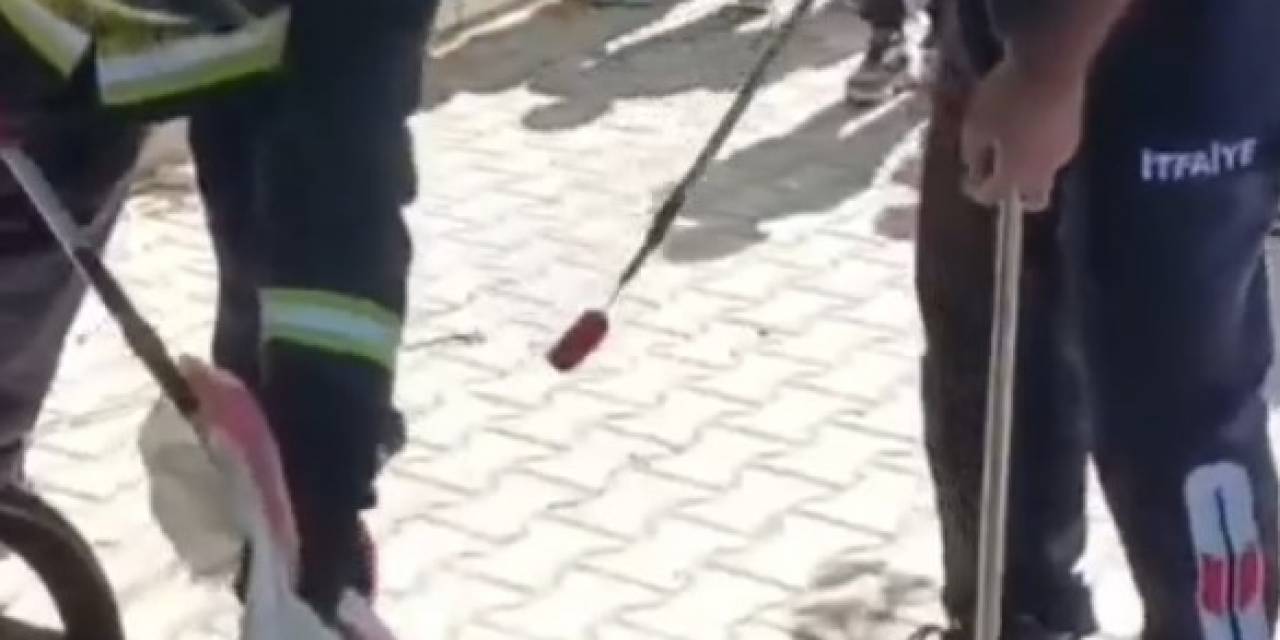 Okul Bahçesindeki Yılanı İtfaiye Ekipleri Yakaladı