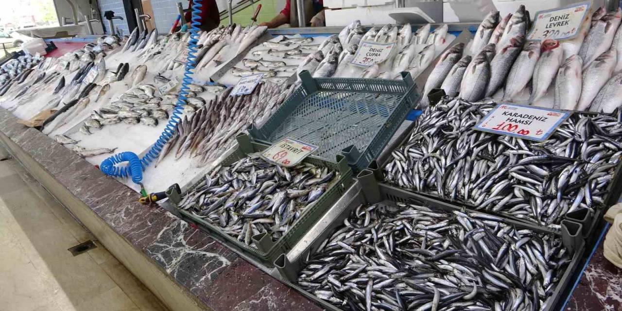 Balıkçılar Geride Kalan Av Sezonundan Memnun