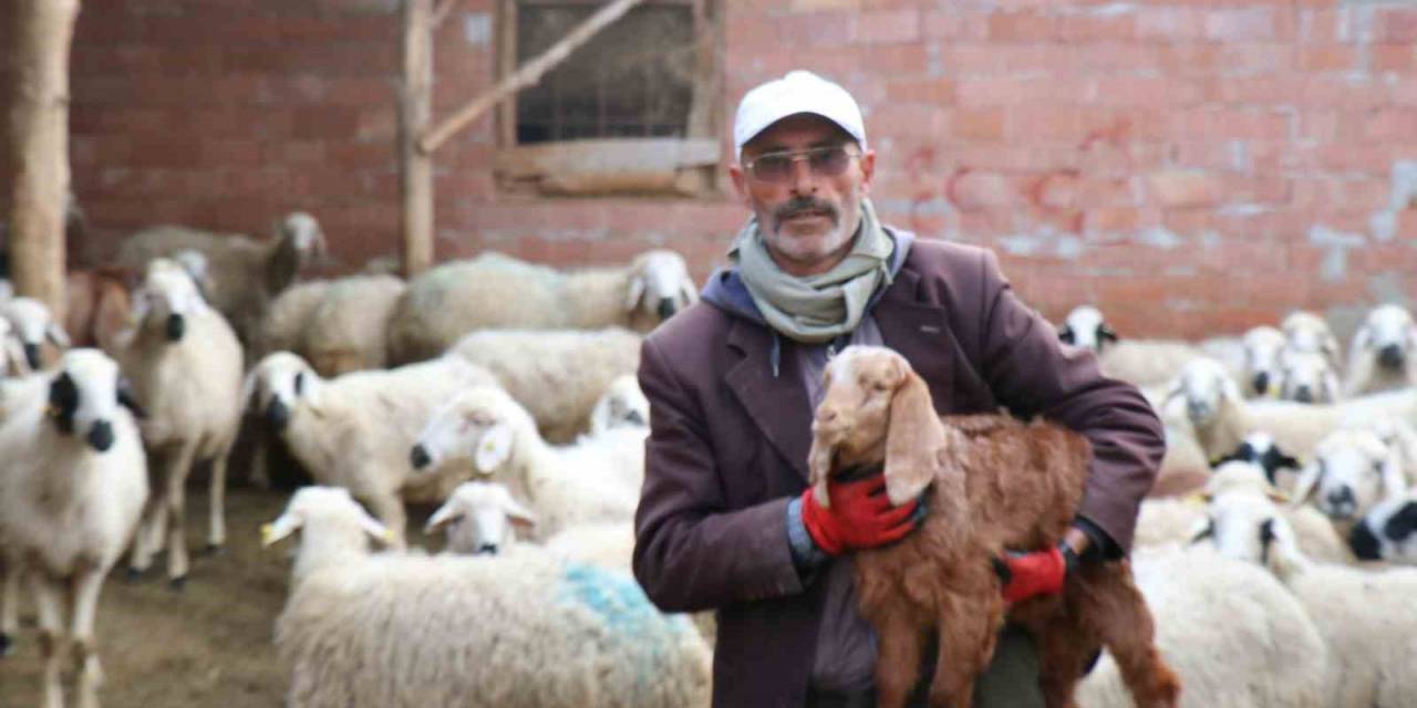 Kendisine Oy Vermeyen Baldızı Ve Bacanağına Şiir Yazmıştı, Film Teklifi Aldı