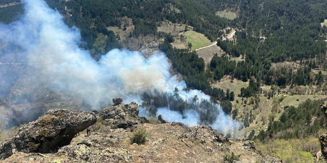 Gediz’de 2 Hektarlık Ormanlık Alan Kül Oldu