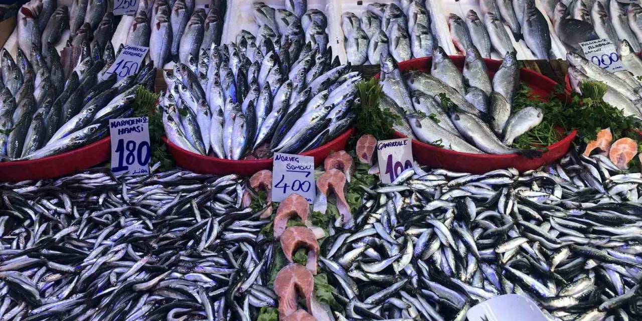 Bilecik’te Ramazan Sonrası Balıkçı Tezgahları Şenlendi