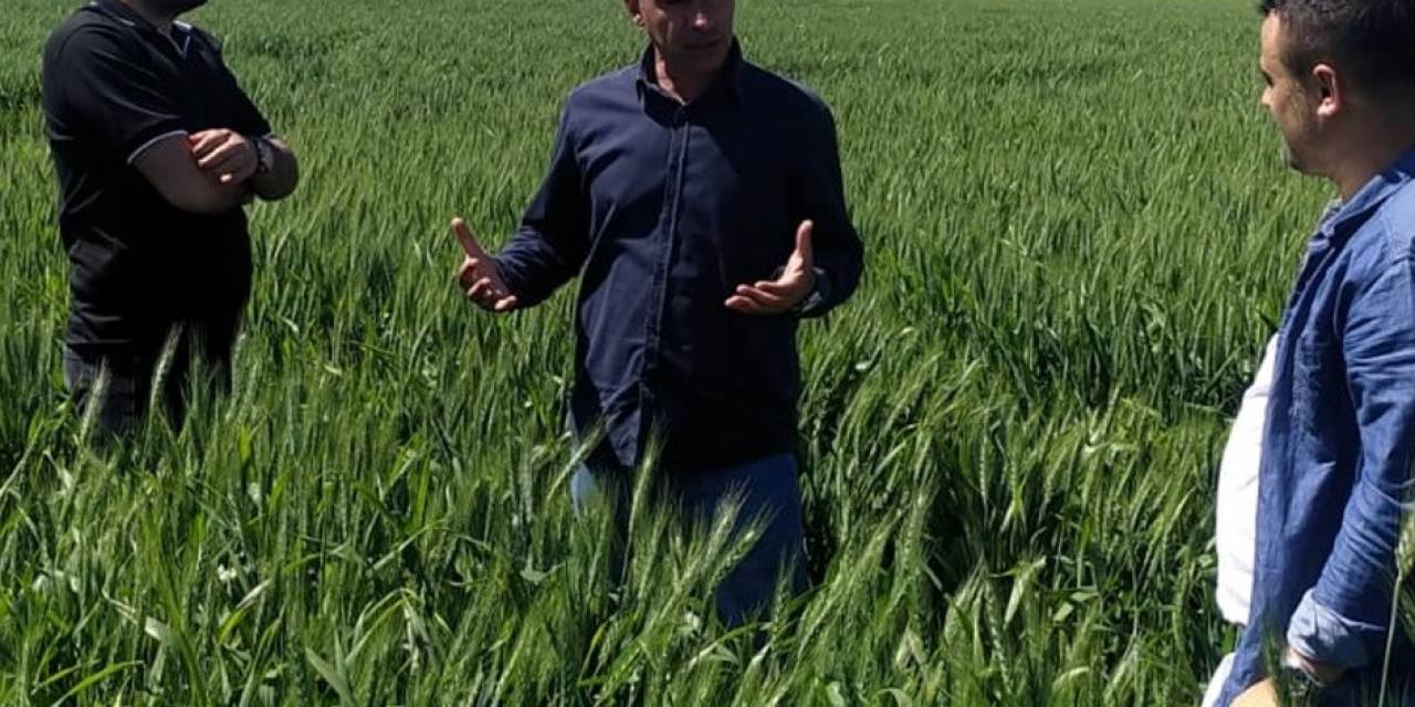 Besni’de Süne Sürvey Çalışmaları Başladı