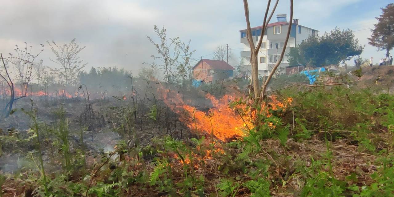 Giresun’da Örtü Yangını Korkuttu